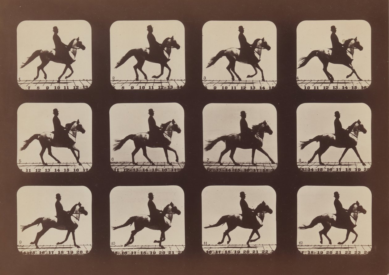 Attitudes of Animals in Motion, 1879, printed 1881.    1178423   no       norwegian Successfully Translated  Original: Antonio Maria Biscioni [obverse], 1725. Translat: Antonio Maria Biscioni [obverse], 1725. 1145324 no norwegian Successfully Translated Or av Eadweard Muybridge