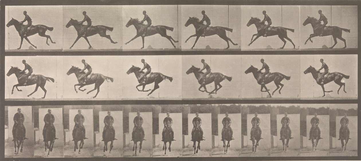 [Hest and Rider Galopping], 1883-86, trykt 1887. av Eadweard Muybridge