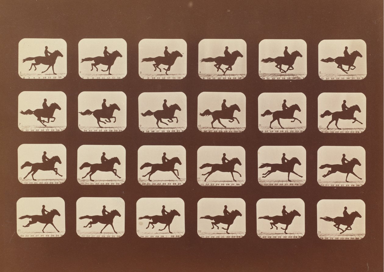 Hester. Løping. Phyrne L. nr. 40, 1879. av Eadweard Muybridge