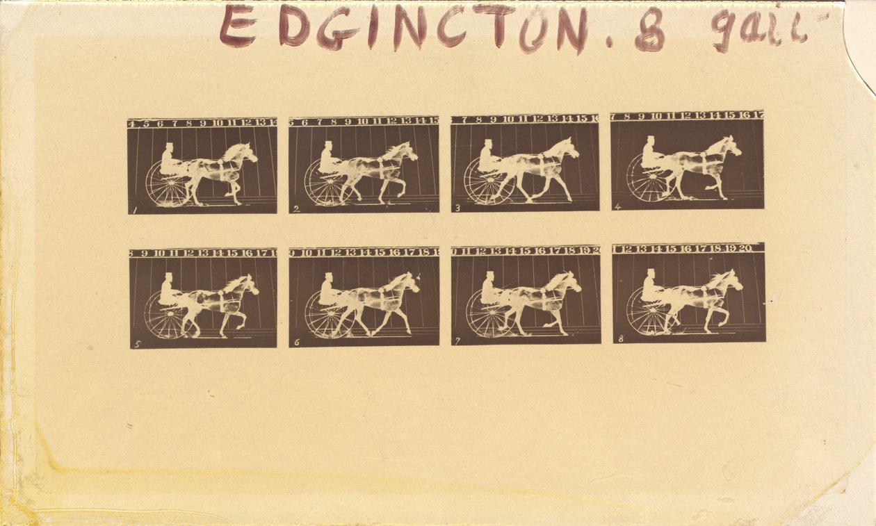 Internegativ for hester. Trav. Abe Edgington. nr. 28, 1878. av Eadweard Muybridge