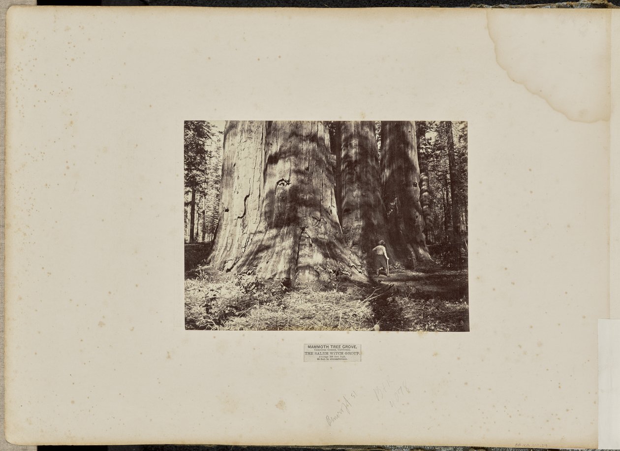  av Eadweard J. Muybridge