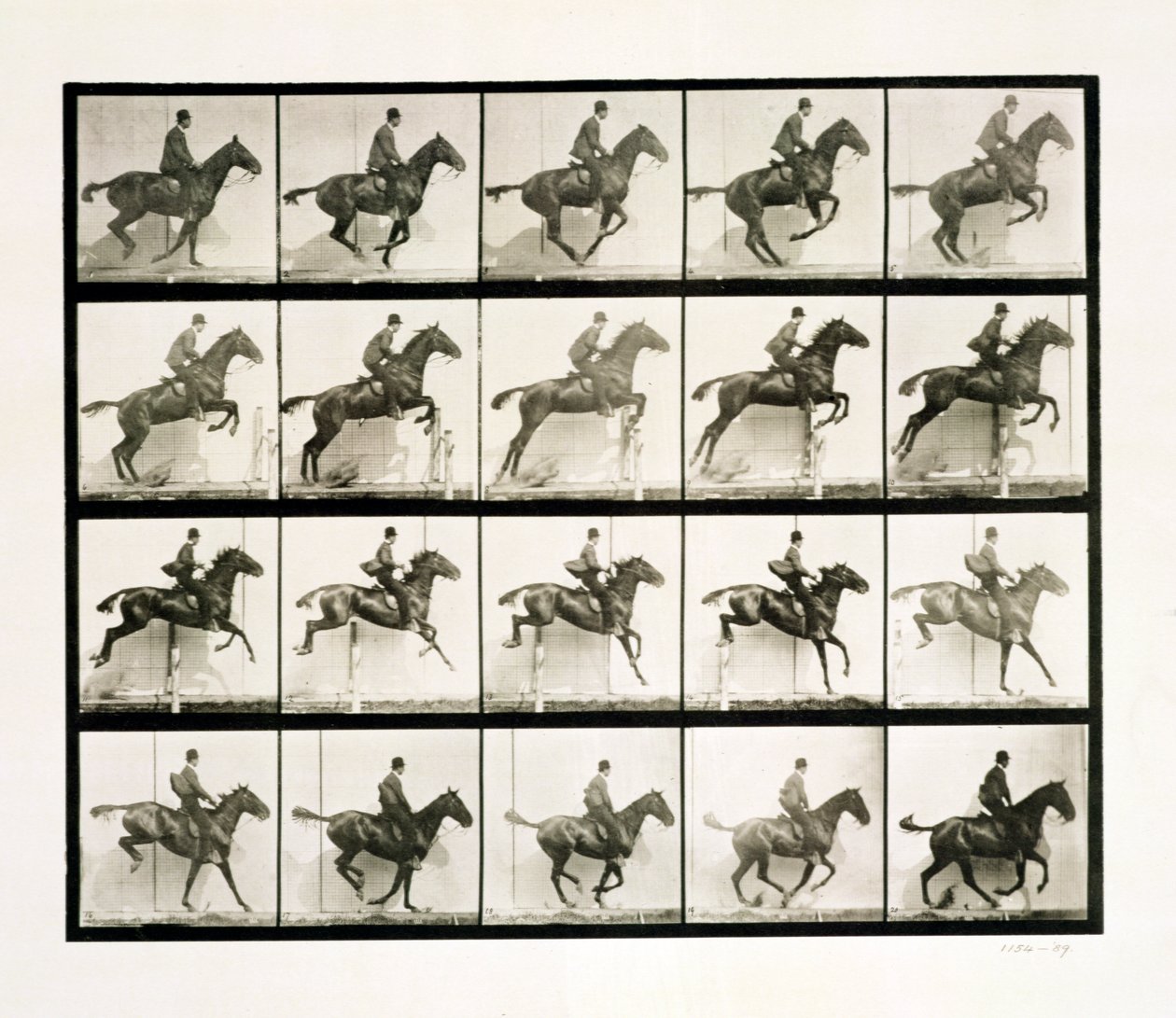 Mann og hest hopper et gjerde, 1887 av Eadweard Muybridge