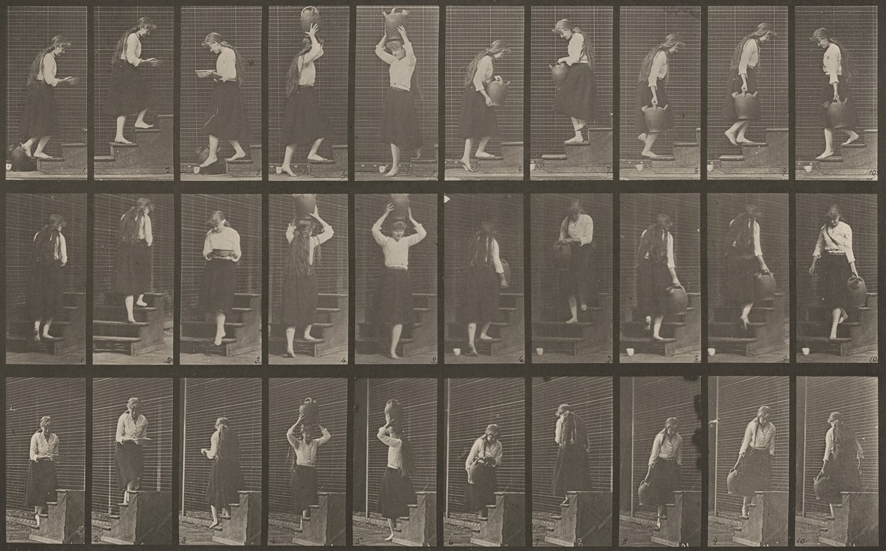 Plate nummer 504. Opp- og nedadgående trapper, 1887. av Eadweard Muybridge