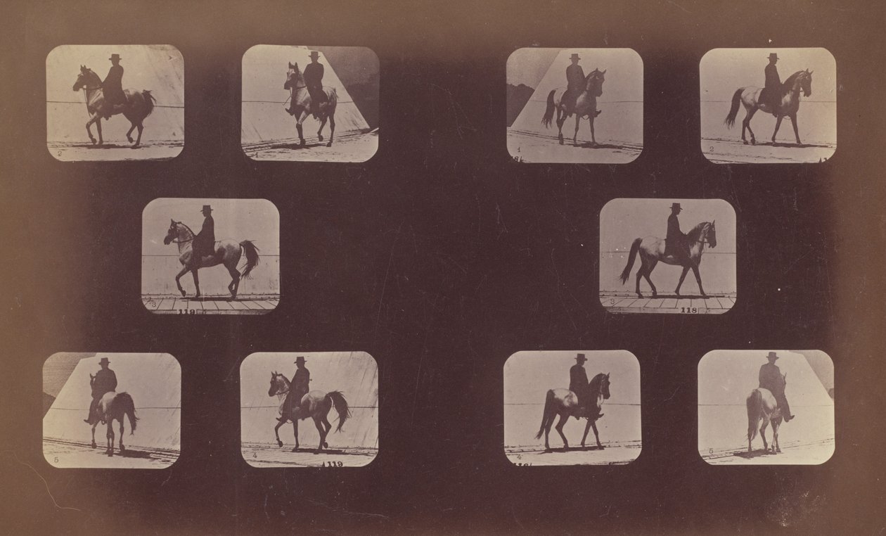 Studier av forkortninger. Hester. Går. Mahomet. nr. 119-120, 1879. av Eadweard Muybridge