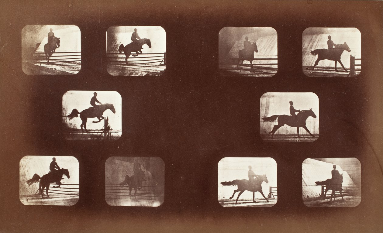 Dyrs bevegelse (mann på hest over hinder) av Eadweard Muybridge