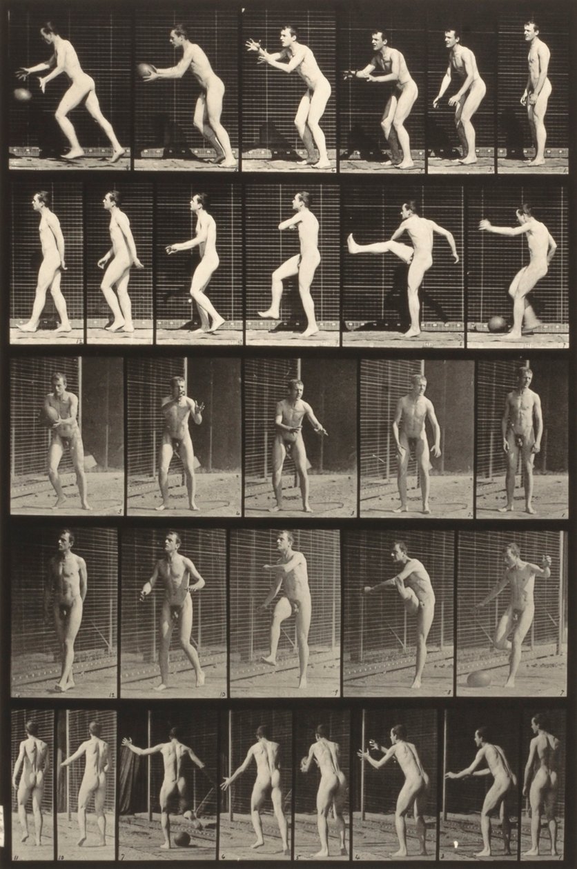  av Eadweard Muybridge