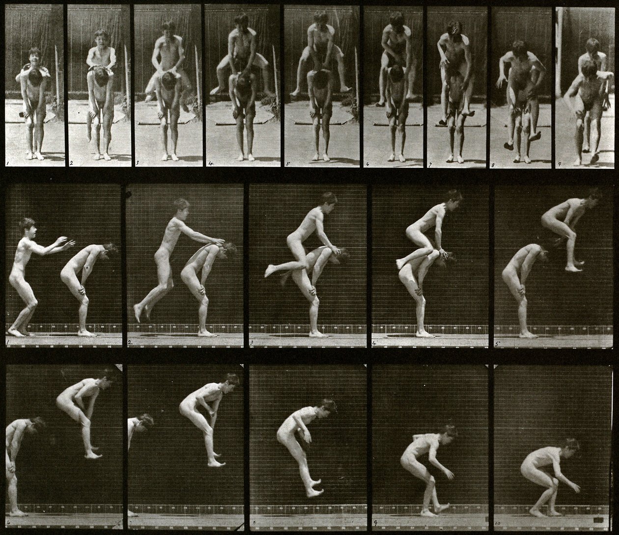 Dyrebevegelse av Eadweard Muybridge