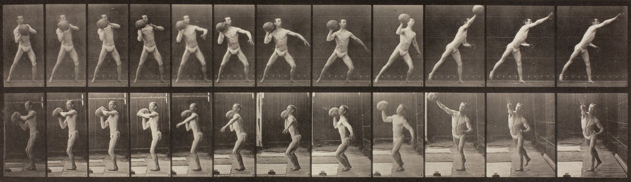 Dyrebevegelse, plate 319, 1887 av Eadweard Muybridge