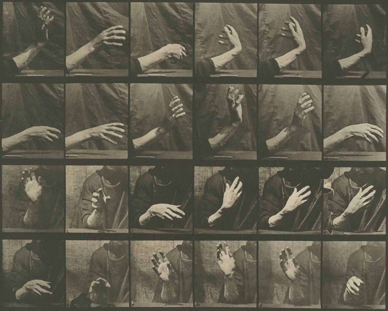  av Eadweard Muybridge