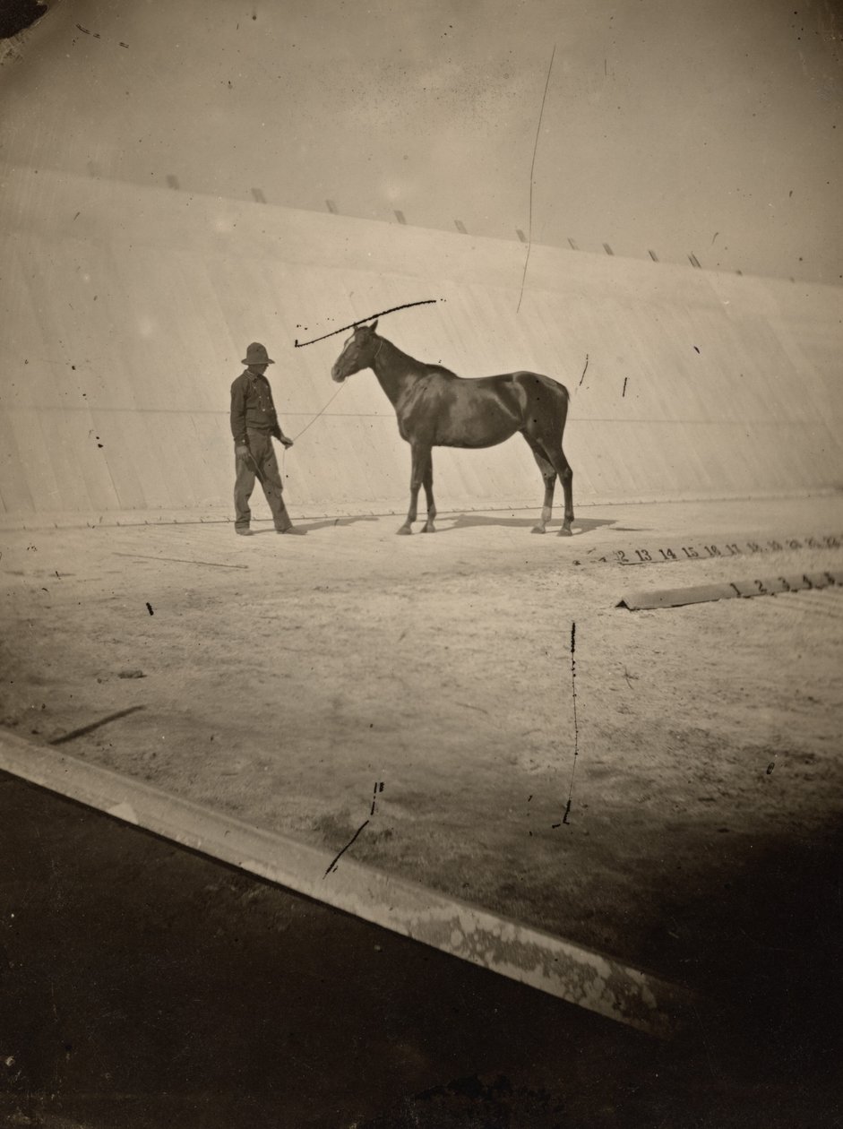  av Eadweard Muybridge