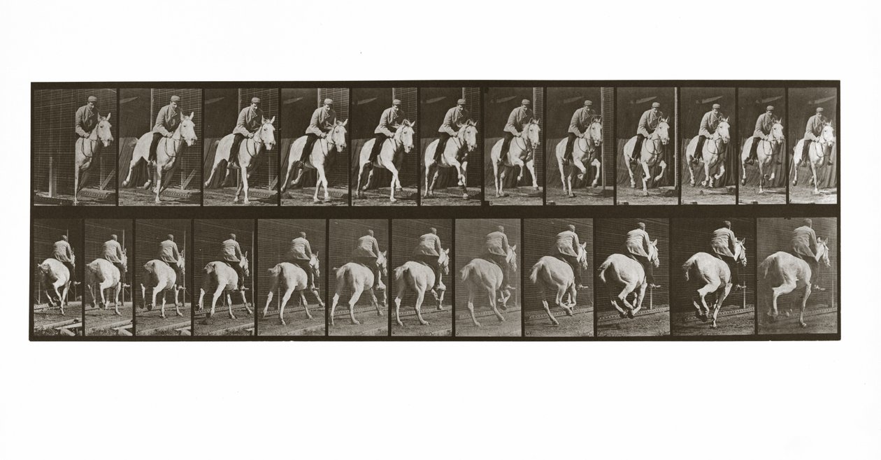 Galopperende hest med rytter, plate 635 fra Animal Locomotion, 1887 av Eadweard Muybridge