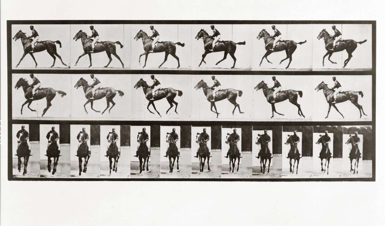 Hest og rytter, plate 621 fra Animal Locomotion, 1887 av Eadweard Muybridge