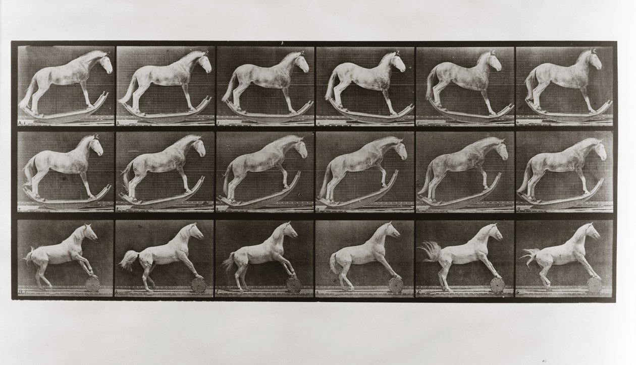 Horse on Rockers and Horse Rolling a Barrel, plate 649 fra Animal Locomotion, 1887 av Eadweard Muybridge