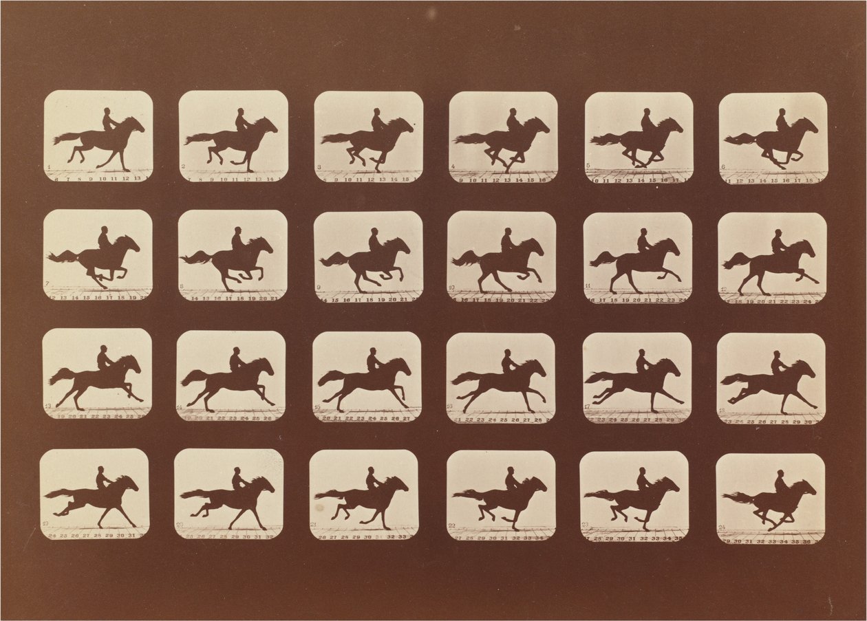 Hester. Løping. Phyrne L. nr. 40 av Eadweard Muybridge