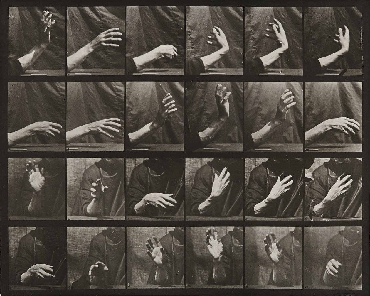Bevegelse av hånden; slå tid av Eadweard Muybridge