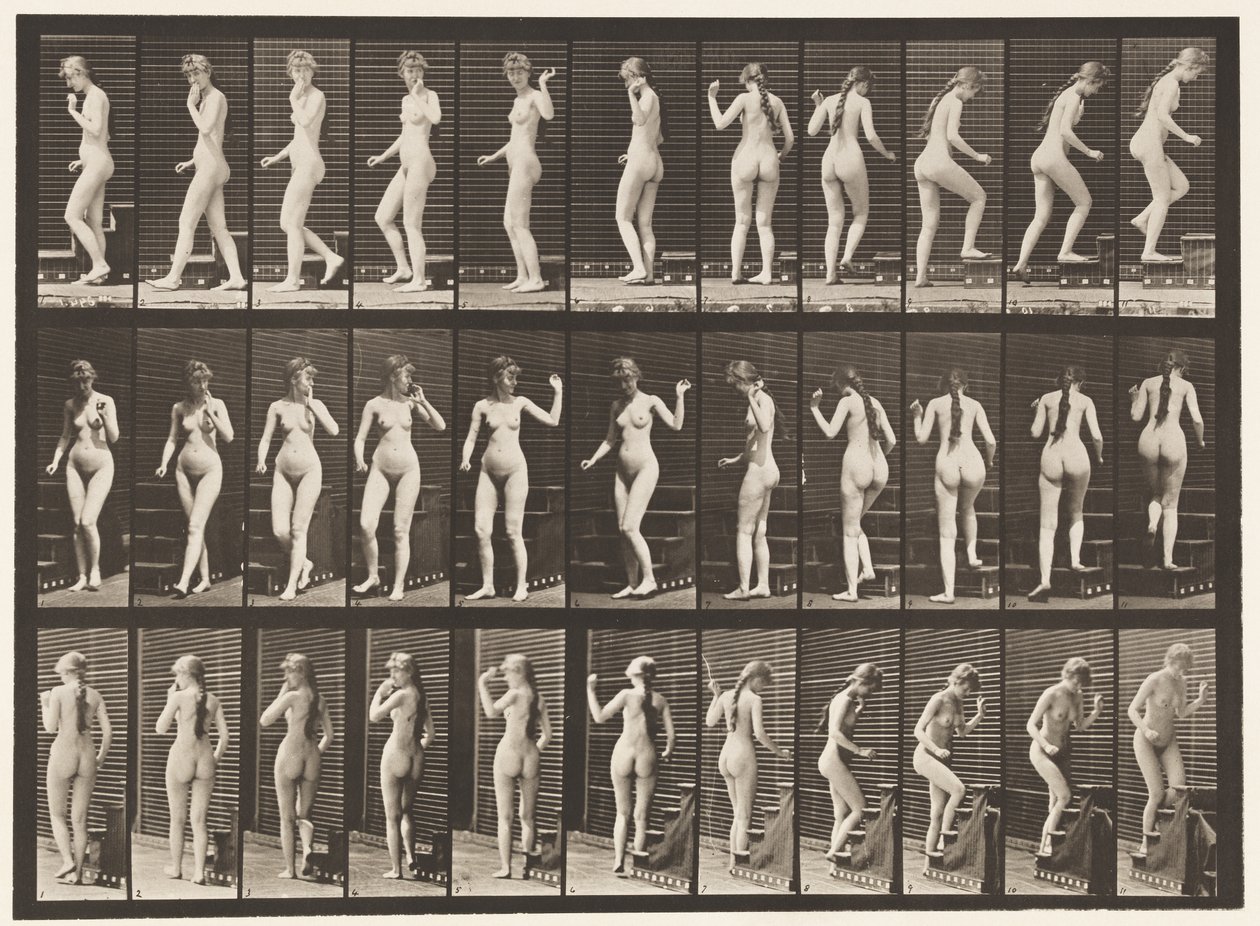 Plate 101. Svingende og stigende trapper, vinkende hånd, 1872-1885 av Eadweard Muybridge