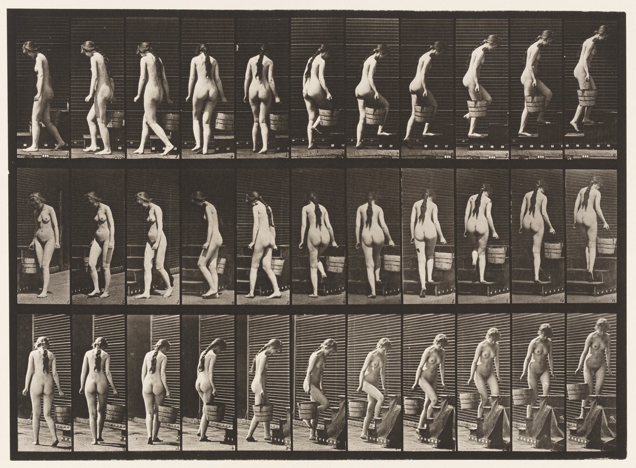 Plate 102. Svingende og stigende trapper, bøttevann i Rt Hand, 1872-1885 av Eadweard Muybridge
