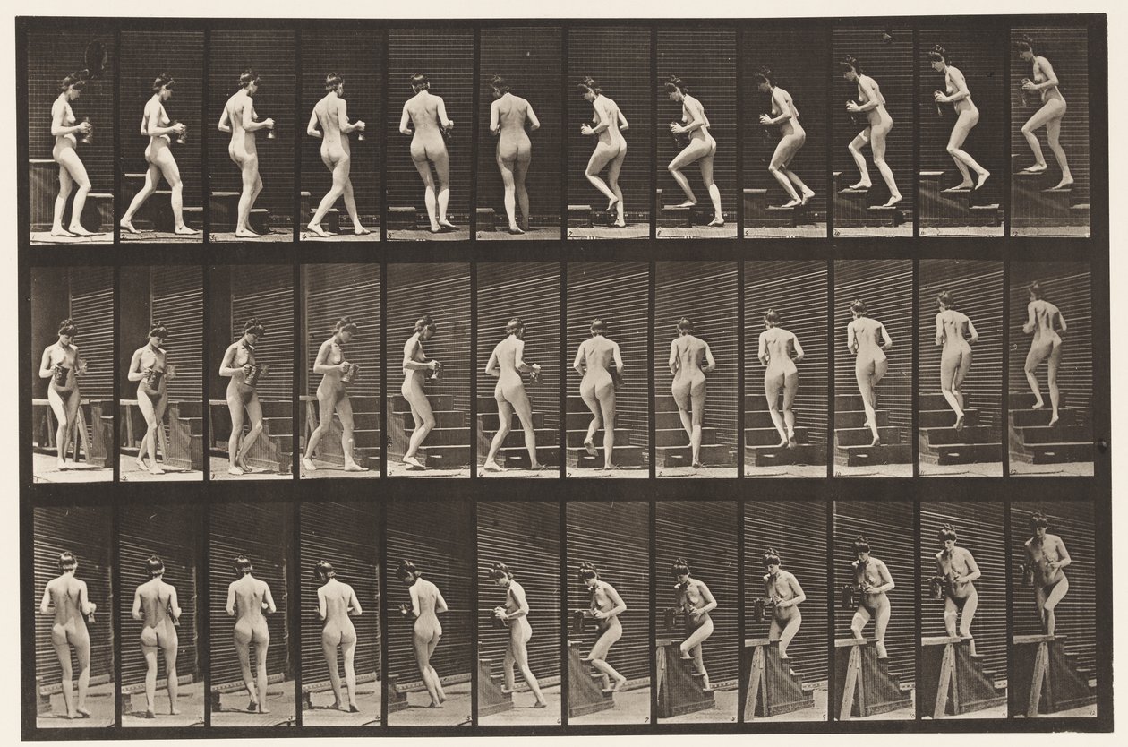Plate 103. Svingende og stigende trapper, mugge og beger i hender, 1872-1885 av Eadweard Muybridge