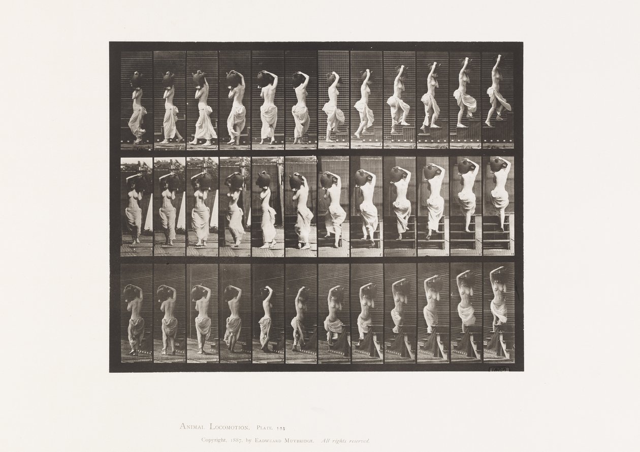 Plate 105. Snuing, Oppstigning, Vannkrukke på venstre skulder av Eadweard Muybridge