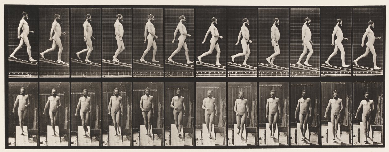 Plate 113. Descending Incline, 1 i 4, 1872-1885 av Eadweard Muybridge