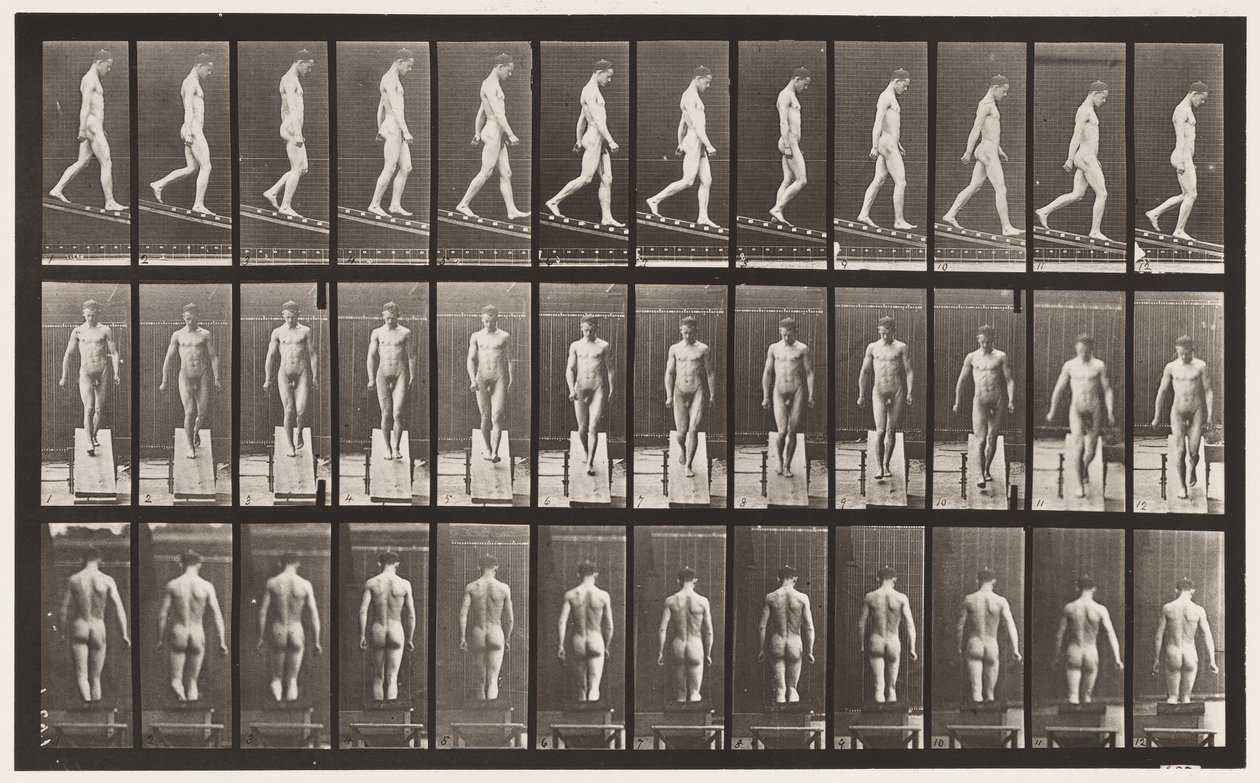 Plate 114. Synkende skråning, vinkel 1 i 4, 1872-1885 av Eadweard Muybridge
