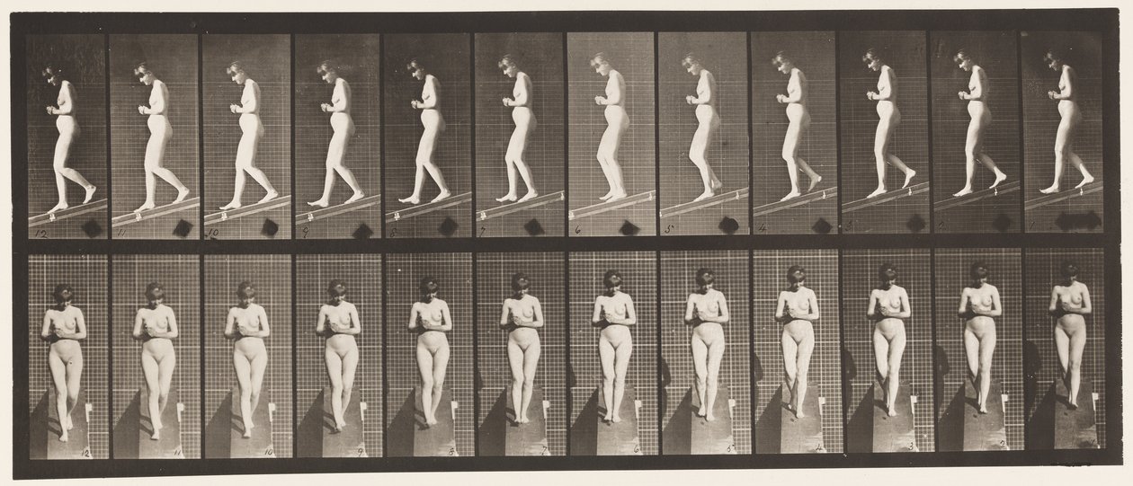 Plate 115. Synkende skråning med hendene knyttet foran av Eadweard Muybridge
