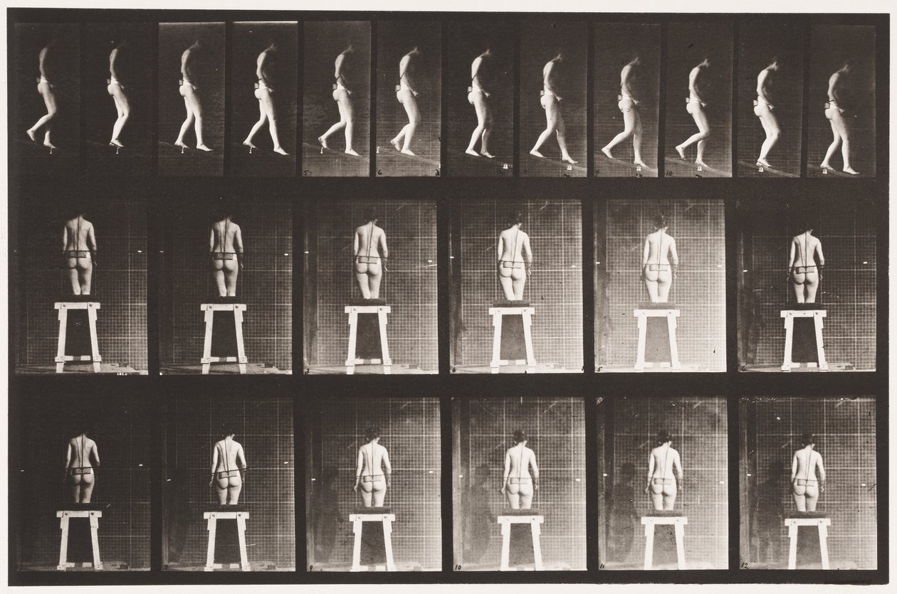 Plate 118. Nedstigning av Eadweard Muybridge