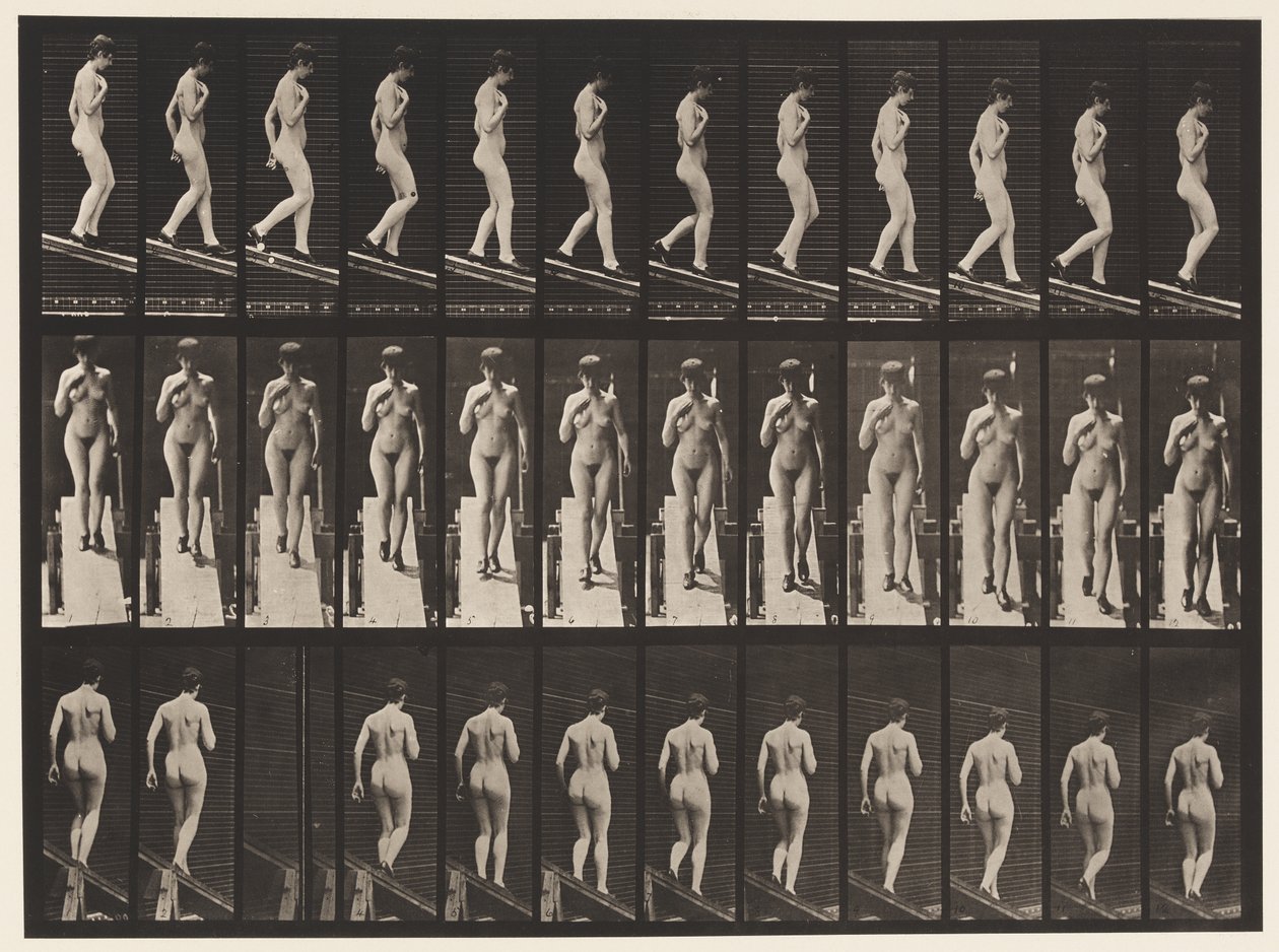 Plate 119. Synkende skråning, høyre hånd på brystet (sko) av Eadweard Muybridge