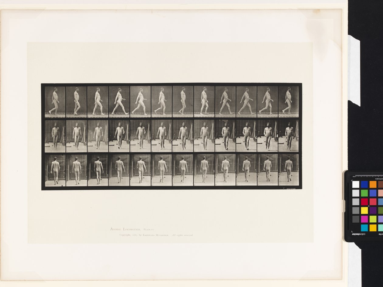 Plate 11.Gå av Eadweard Muybridge