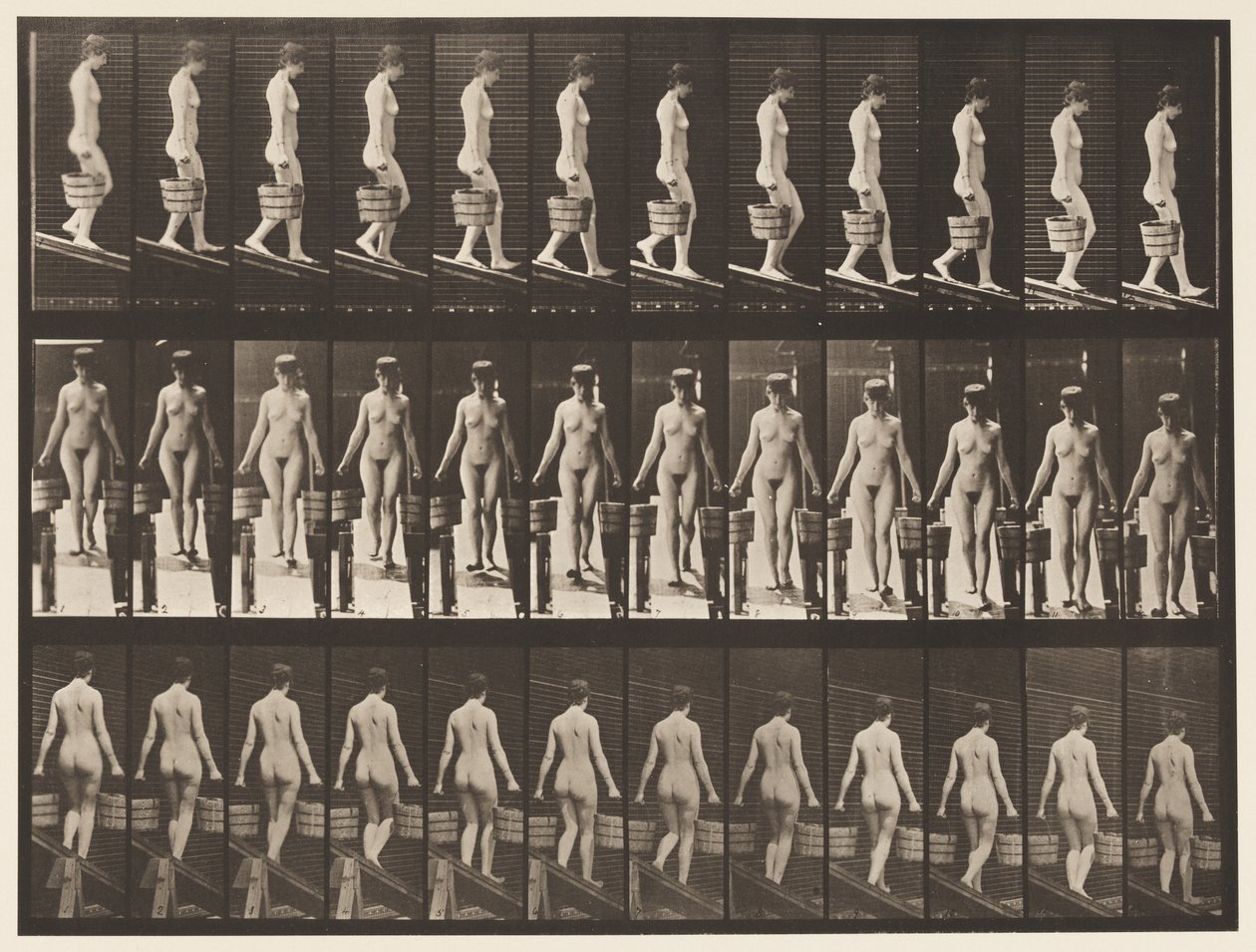 Plate 122. Synkende skråning, bøtte med vann i hver hånd, 1872-1885 av Eadweard Muybridge