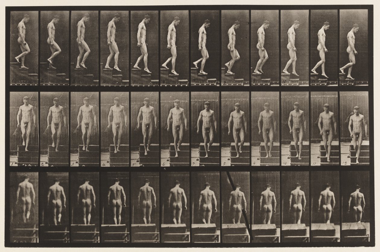 Plate 125. Nedstigende trapp av Eadweard Muybridge