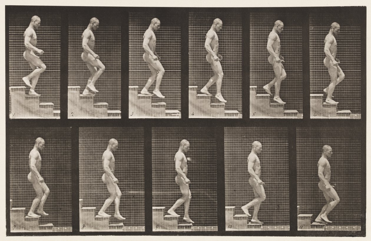 Plate 126. Nedstigende trapp av Eadweard Muybridge