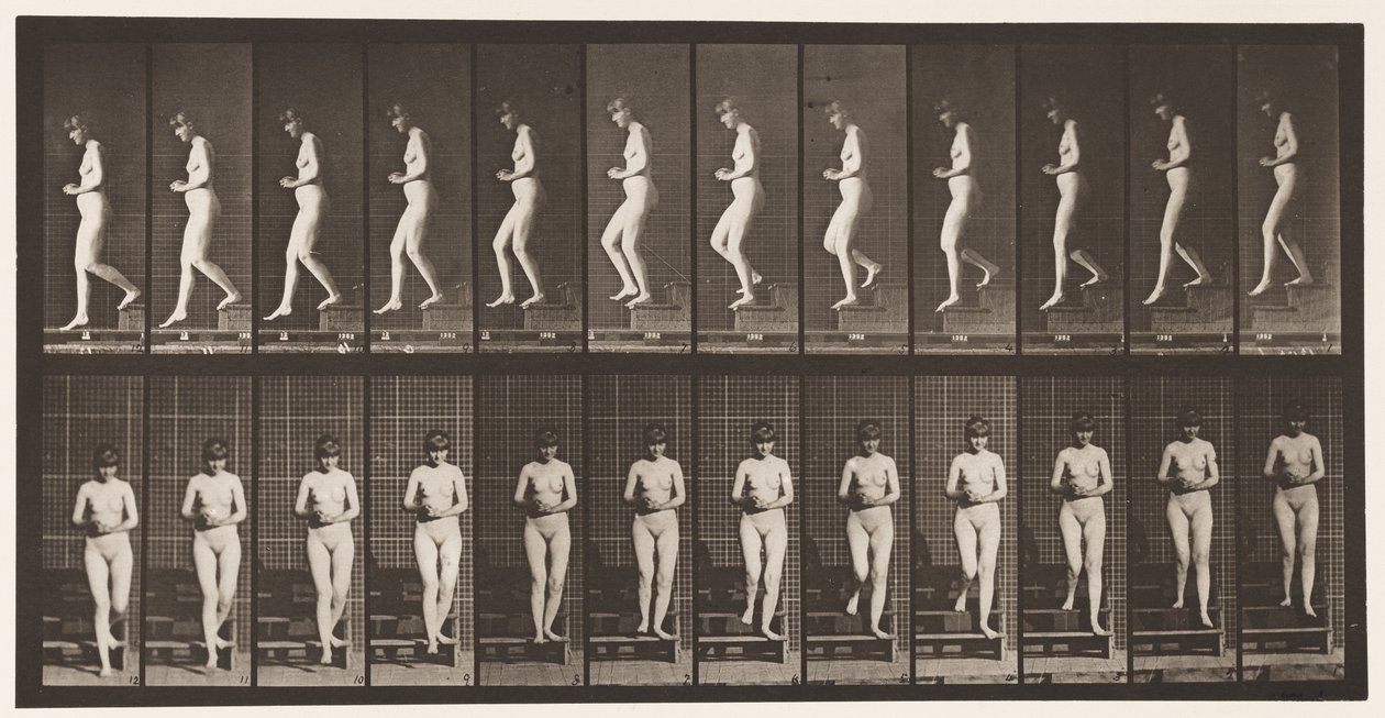Tallerken 128. Nedstigende trapper, hender i klem, 1872-1885 av Eadweard Muybridge