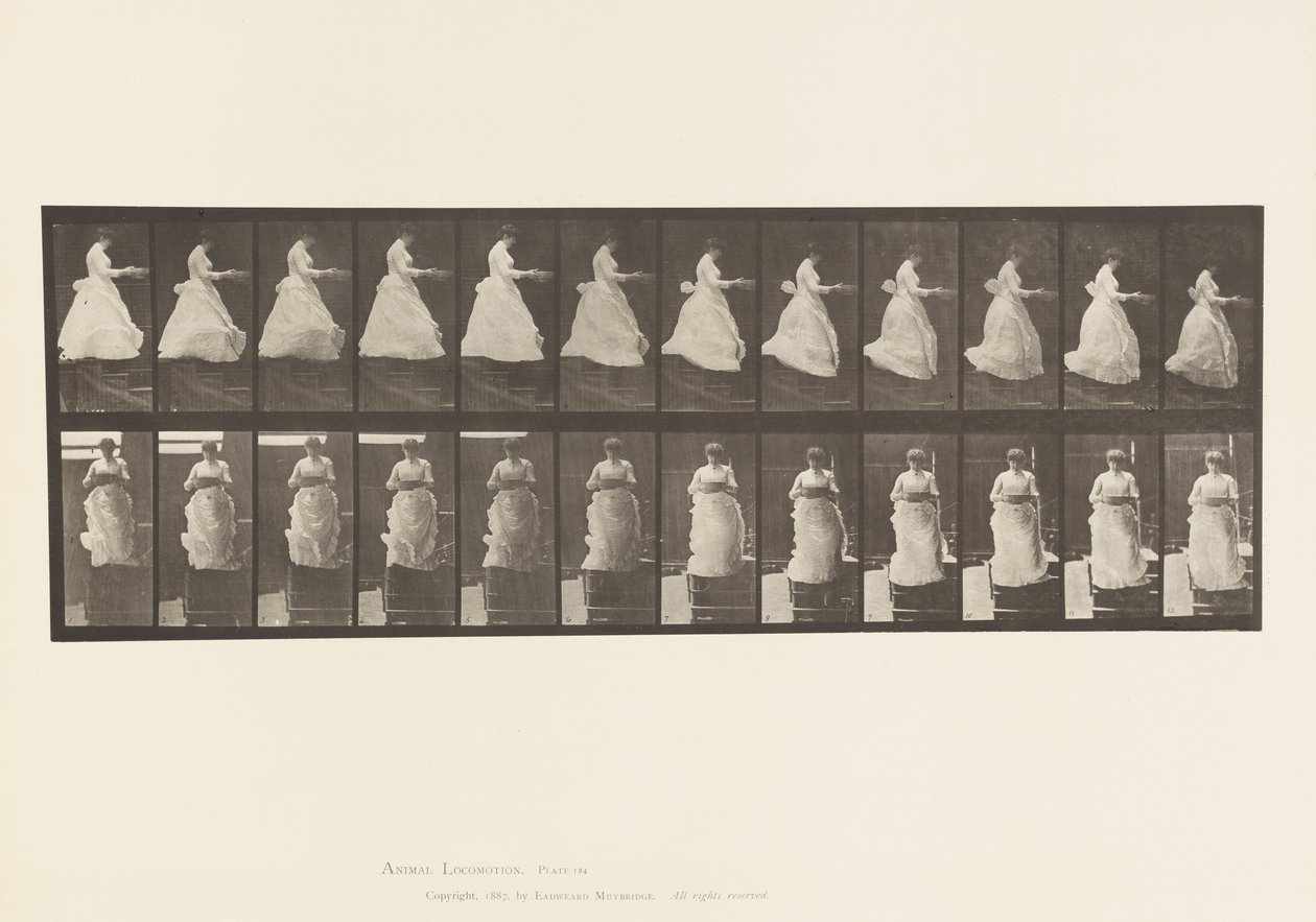 Plate 134.Nedgående trapp, med servant i hendene av Eadweard Muybridge