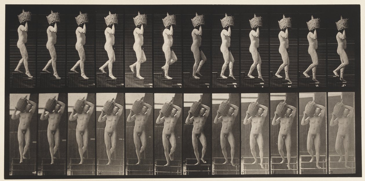 Plate 136. Nedstigende trapper full Demijohn på skulderen, 1872-1885 av Eadweard Muybridge
