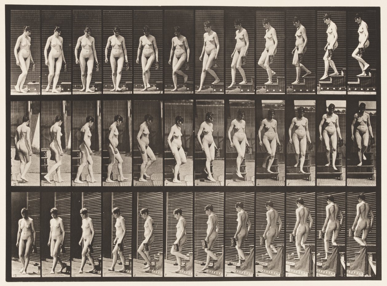 Plate 138. Nedstigende trapp Turning; Mugge i venstre hånd av Eadweard Muybridge