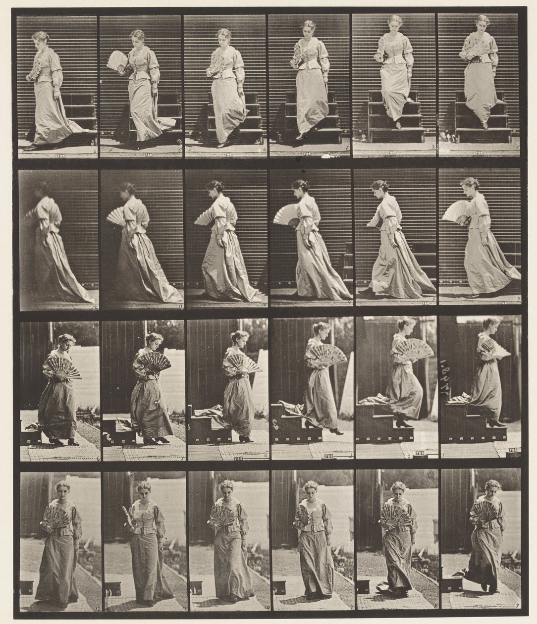 Plate 141. Nedstigende trapp og flørtevifte av Eadweard Muybridge