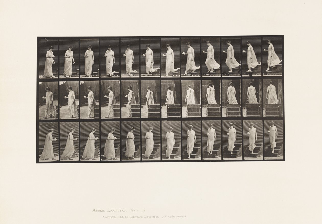 Tallerken 143. Synkende skråning, snukopp og tallerken i høyre hånd av Eadweard Muybridge