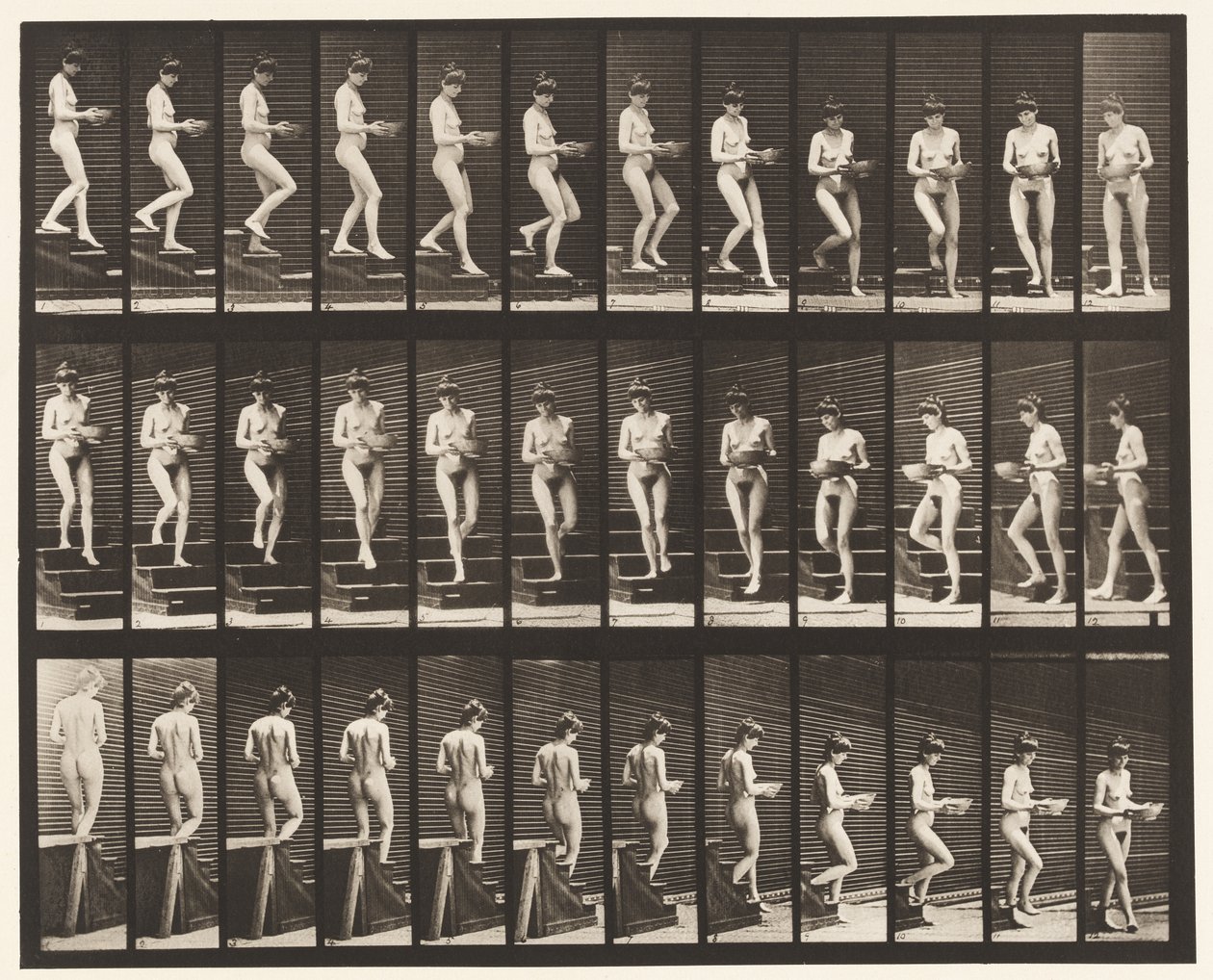 Plate 144. Nedstigende trapp; Vendebasseng i hender av Eadweard Muybridge