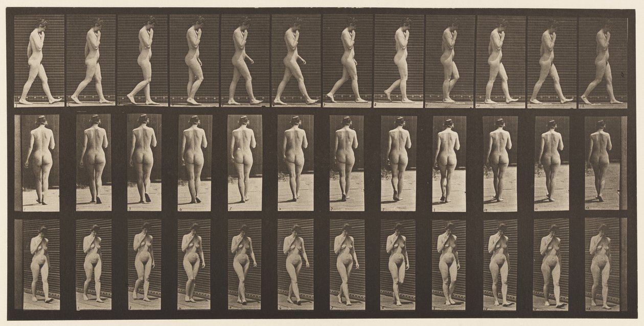 Plate 14. Walking, Right Hand at Chin, 1872-1885 av Eadweard Muybridge