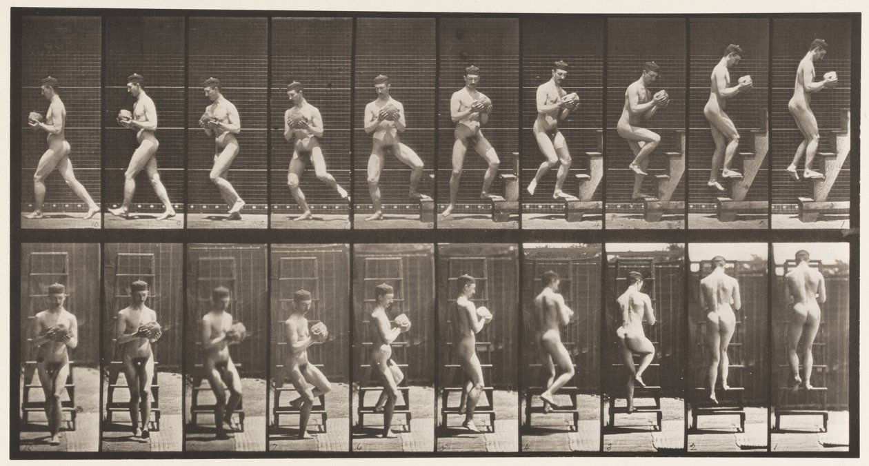 Plate 151. Nedstigende trappestige, snur seg rundt, stein i hender, 1872-1885 av Eadweard Muybridge