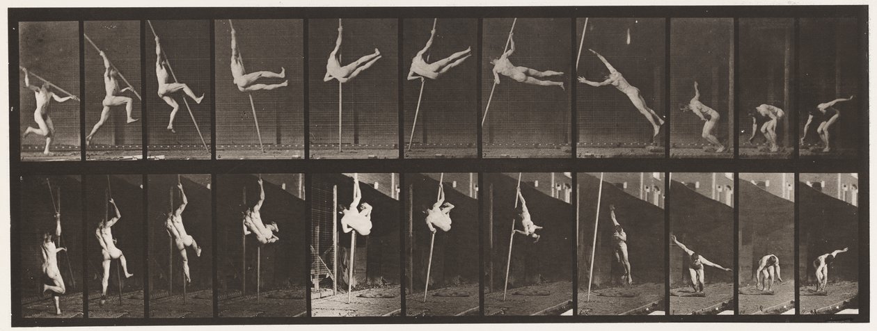 Plate 164. Hopping; Stanghopping, 1872-1885 av Eadweard Muybridge