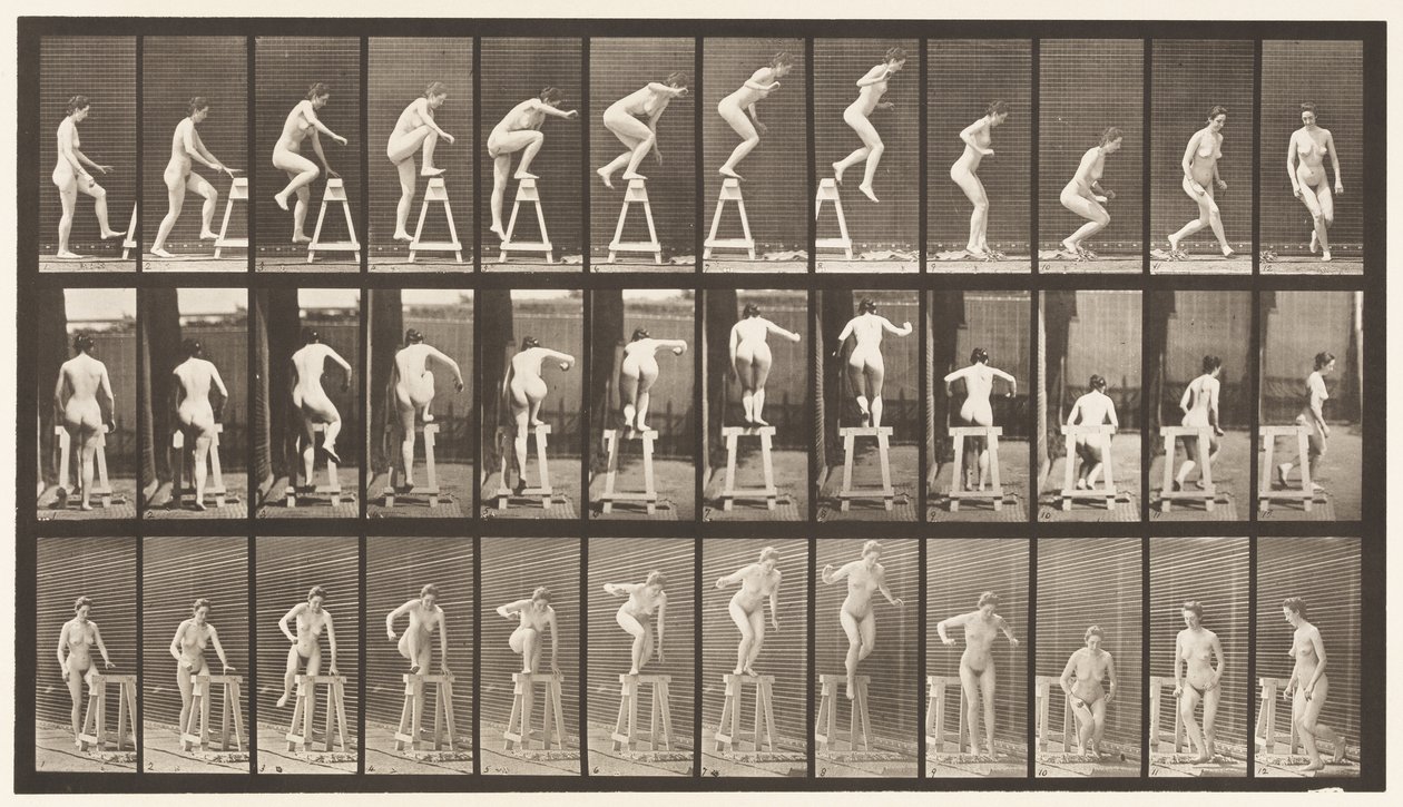 Plate 171. Å tråkke på en bukk; Hoppe ned, snu av Eadweard Muybridge