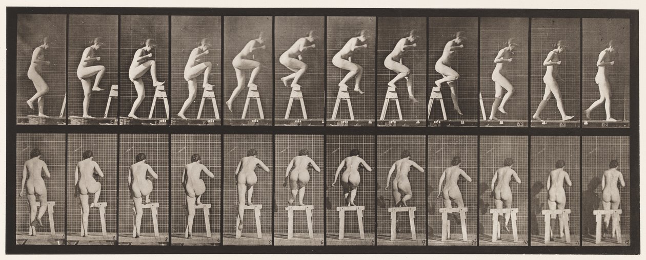 Tallerken 178. Å tråkke på og over en bukk av Eadweard Muybridge