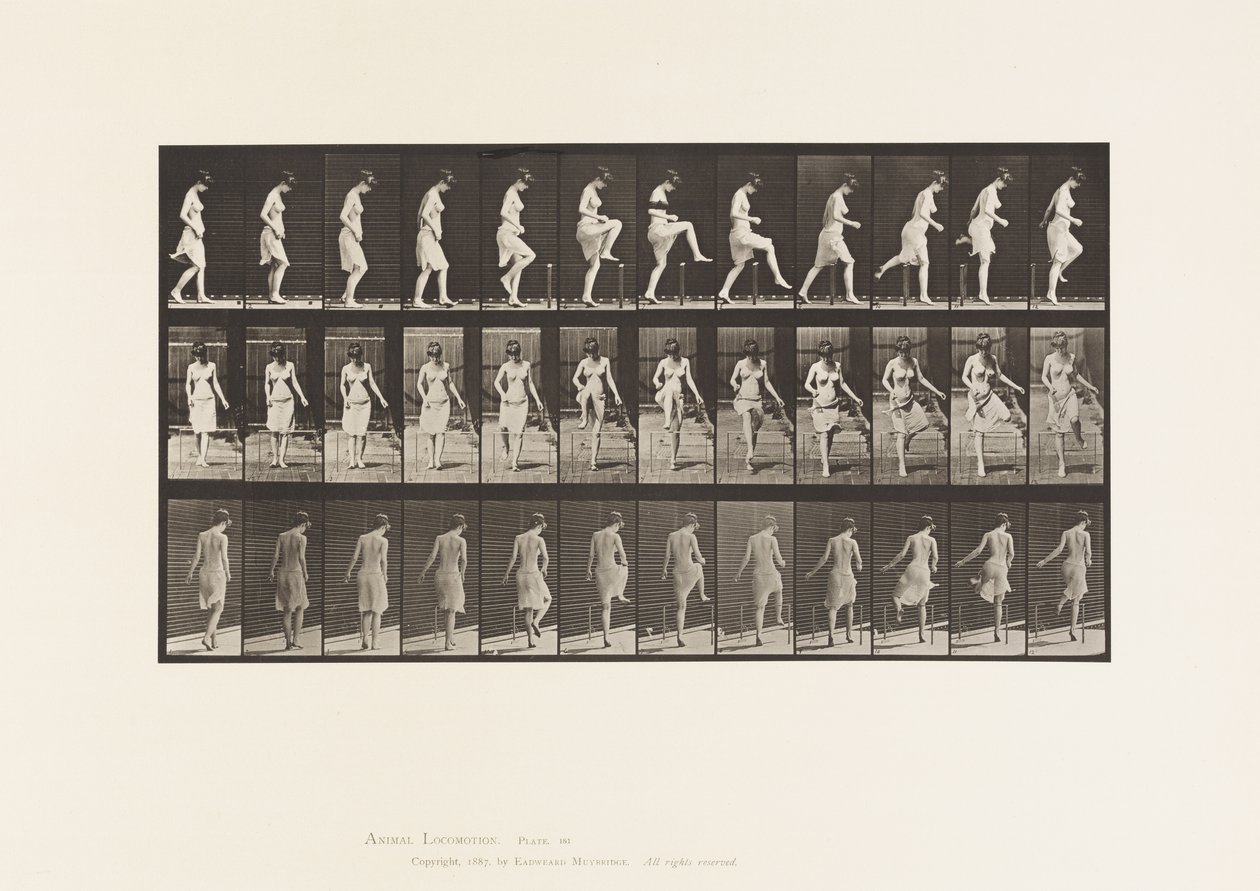 Plate 181. Å tråkke over et gjerde av Eadweard Muybridge