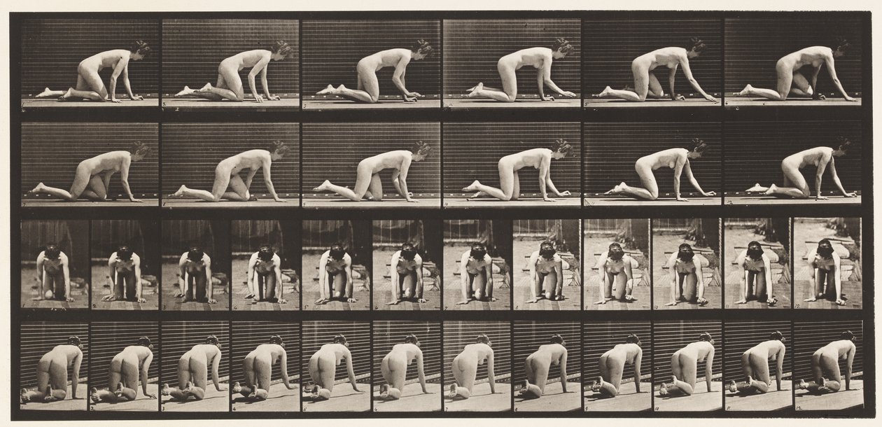 Tallerken 182. Krypende på hender og knær av Eadweard Muybridge