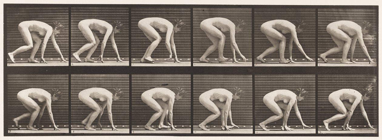 Plate 183. Gå på hender og føtter av Eadweard Muybridge