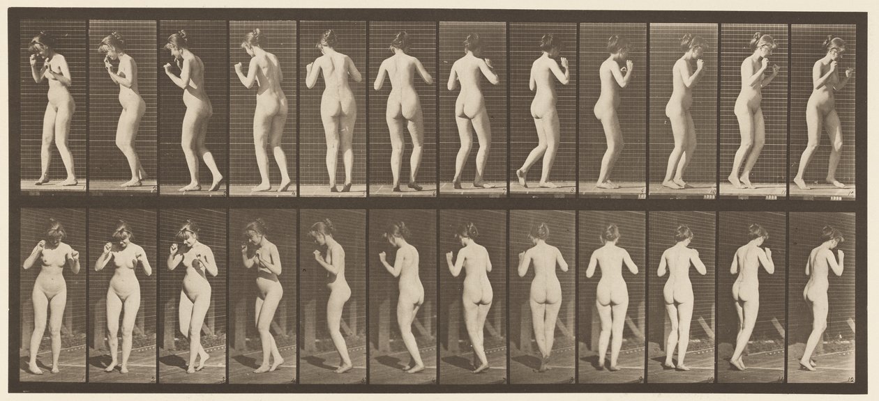Tallerken 195. Dansende vals av Eadweard Muybridge