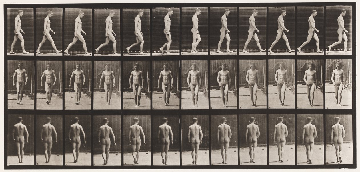 Plate 1. Gå av Eadweard Muybridge