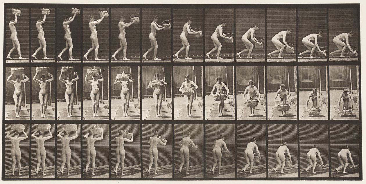 Plate 201. Tar 12-lb kurv fra hodet, legger den på bakken, 1872-1885 av Eadweard Muybridge